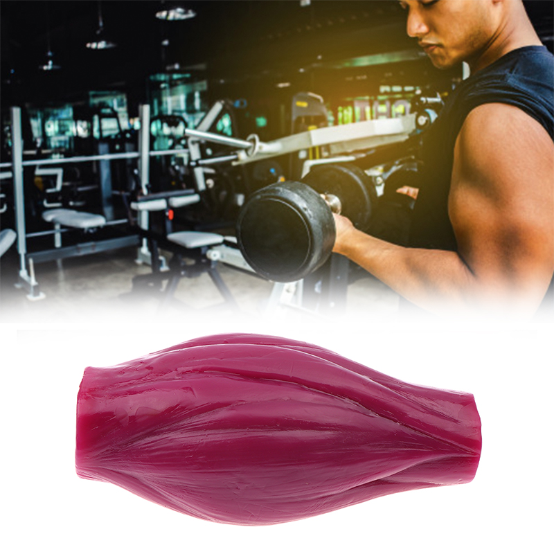 Nutrition Fitness Course - 1lb Otot untuk Menjaga Kebugaran &