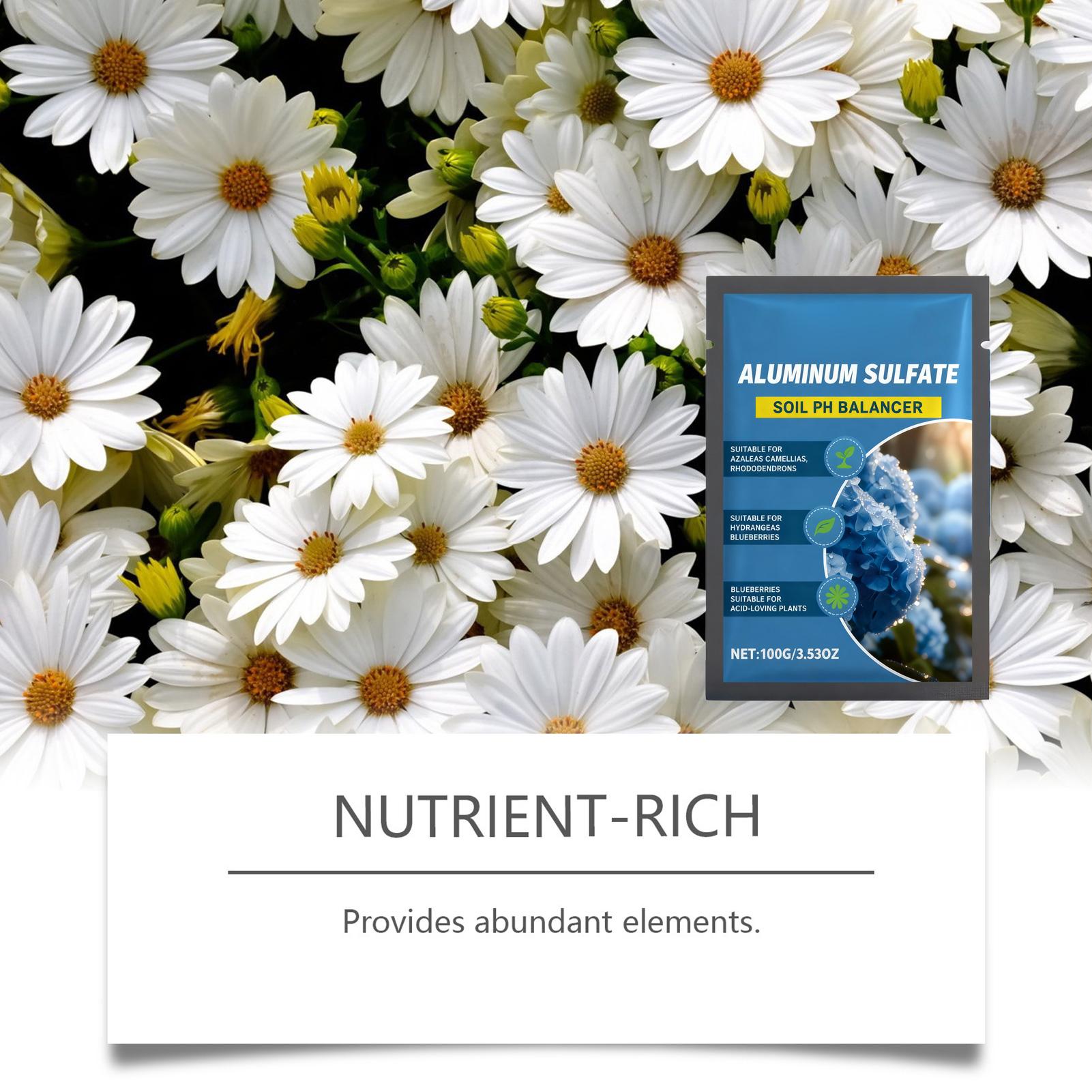 Suplemen Nutrisi Asam Konsentr - Nutrition & Fitness Coaching Fulham ulasan dan harga