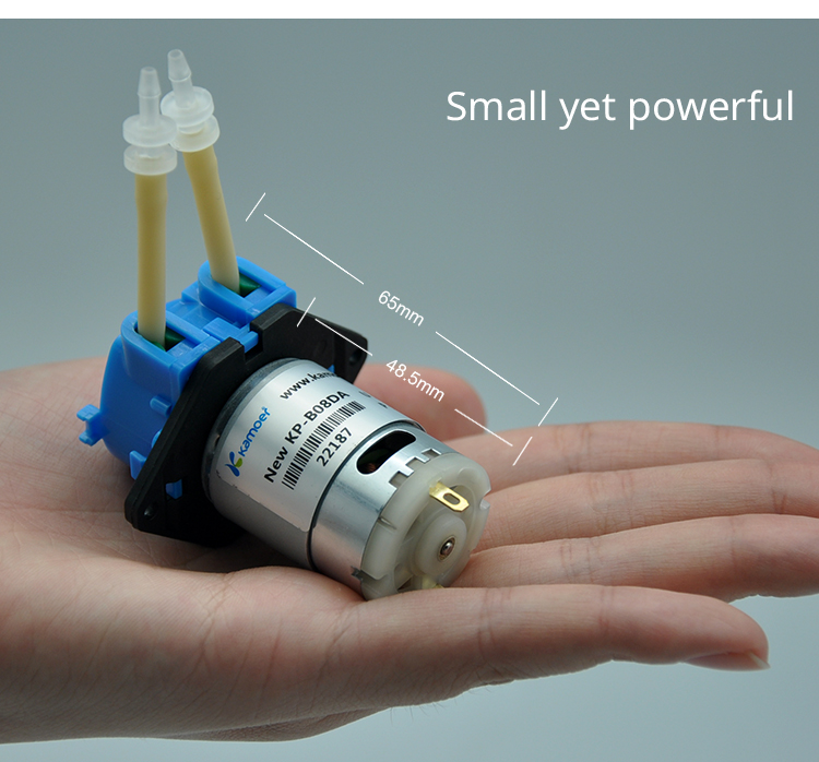 Pompa dosis peristaltik mini w - Nutrition & Fitness Coaching Fulham ulasan dan harga